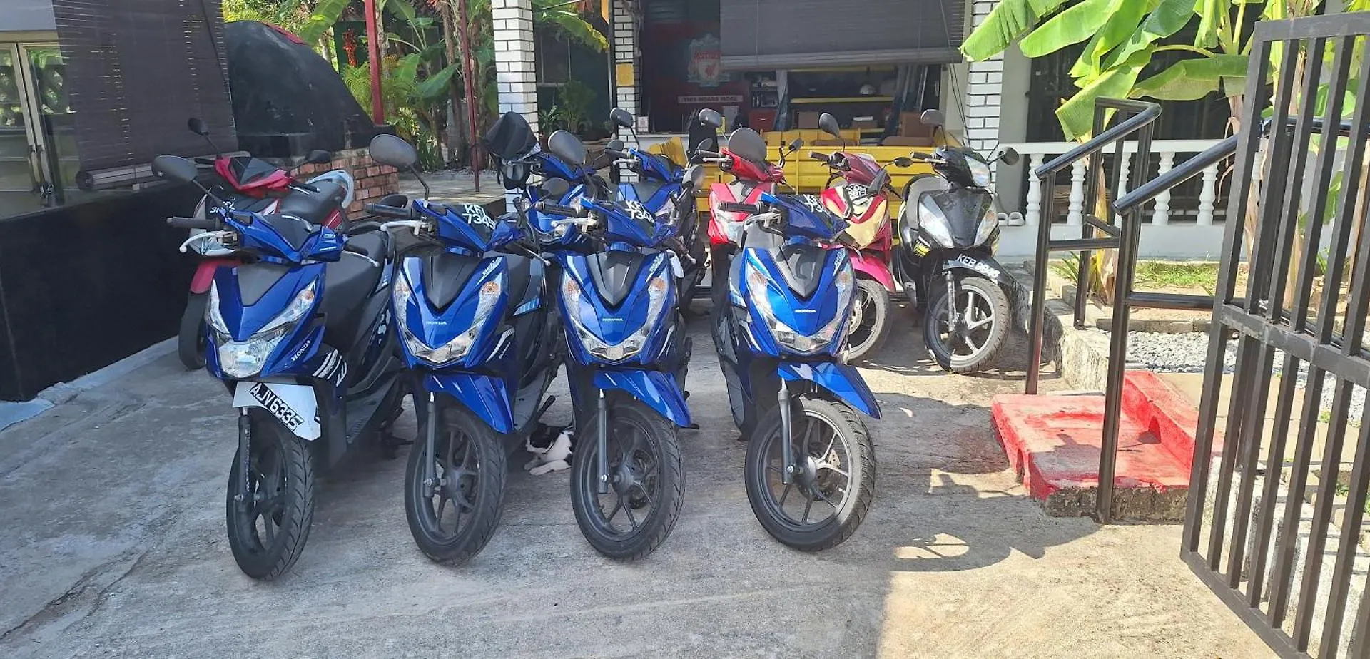 Knight Residence Pantai Cenang  Hostel